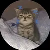 meobth_panh7
