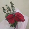 wongsukses139