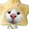 tranngocgianghiem4