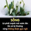 phuonghuyen141719
