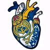 albakiss8