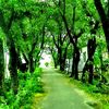 aryan.ahamed363