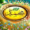 alyan.mehar57