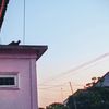 novan.aditya65