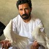 Zeeshan Shah