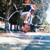 shavskater