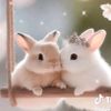 pagalrajput723