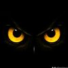 bigfoot_chronicles6