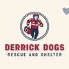 Derrick.dogs.rescue.Uganda