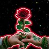 babul.loskar2