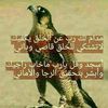 user42584843427401