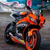 user210875811