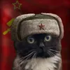 aviator_1547