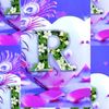 user8106150785322