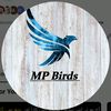 MP Birds Official