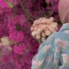 ail.313ail.ail.31