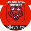 rileyh_ttvontwitch