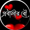 mstsumi4220