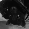 vampyjink0