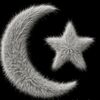 dawardami24