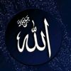 sania.ch46