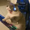gamerhd3