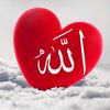 abubaker.kf