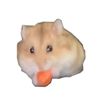 Henrytheturd 🐹