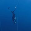 freediver45