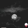 refiyeff_0.12