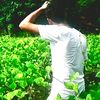 user067268256
