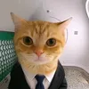 adrenalinecat