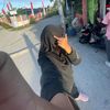 intan.tiara960