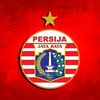 .psj03