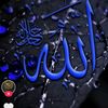 user1485676746285