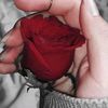 user4317498186557