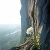 linhh_0765