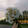 user771018855