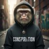 le singe de la conspiration