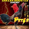 sakera.rooster