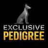 Exclusive Pedigree