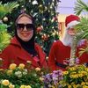 emysaad866