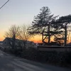 emily.louise014