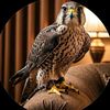 user1972305076750