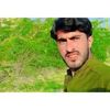 char.gul62