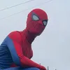 TheIrishWallcrawler