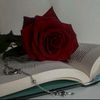 user41932481568295