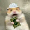 qurahamster