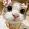 urluvee_niaww