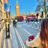 seseinlondon